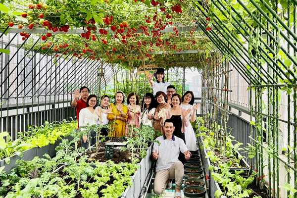 Ông bố ở Hà Nội chi nửa tỷ đồng làm vườn rau sân thượng