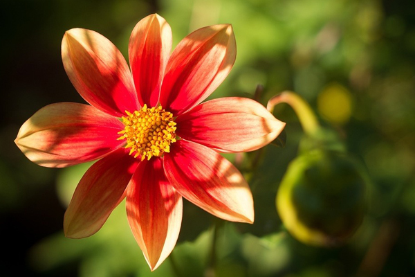 Tháng 4, 3 con giáp trở thành phiên bản tốt nhất của chính mình, gặp gỡ quý nhân, kiếm tiền thuận lợi-4