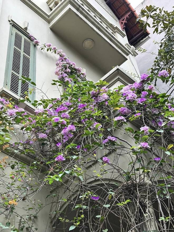 Căn biệt thự đẹp hơn cả tạp chí của nam nghệ sĩ đứng sau sự lung linh của Táo quân-2