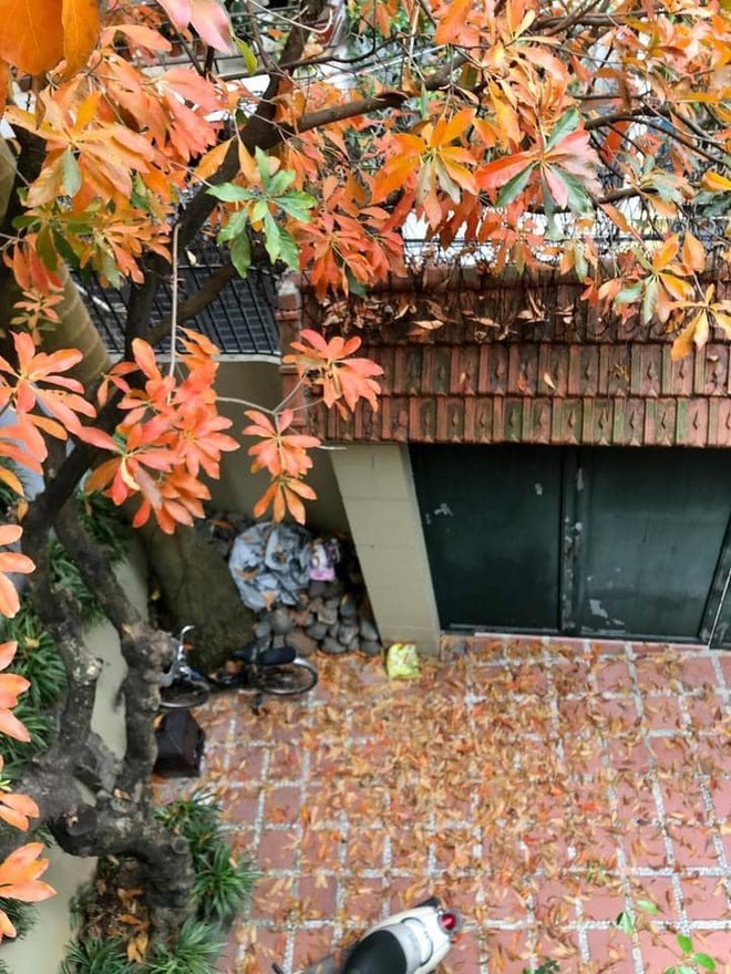 Căn biệt thự đẹp hơn cả tạp chí của nam nghệ sĩ đứng sau sự lung linh của Táo quân-13