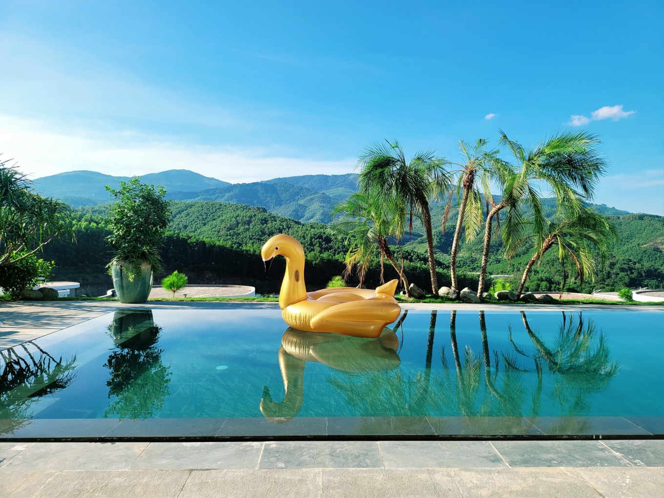 Đọ cơ ngơi tráng lệ của 2 nam thần VFC: Mạnh Trường - Việt Anh-11