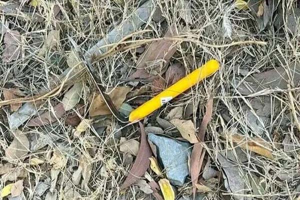 Mở lại phiên phúc thẩm xét xử vụ án mẹ nữ sinh giao gà mua bán ma túy-2