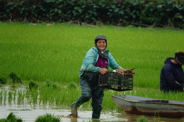 Hà Nội: Nỗi đau của người phụ nữ sinh 14 con, đứa vướng lao lý, đứa nói thẳng: Tôi không có người mẹ như bà-2