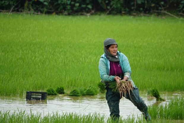 Hà Nội: Nỗi đau của người phụ nữ sinh 14 con, đứa vướng lao lý, đứa nói thẳng: Tôi không có người mẹ như bà-4
