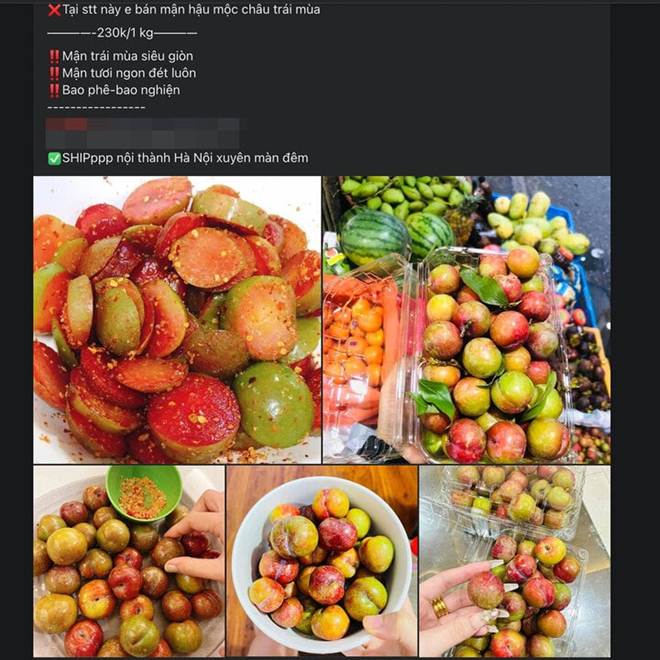 Đắt hơn thịt, mận đầu mùa giá gần 300.000 đồng/kg, khách không tiếc tiền mua-2