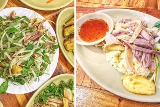 Vụ cơm gà Trâm Anh: Loạt vi khuẩn có trong hành phi, dưa chua và nước giếng rửa dụng cụ... nguy hiểm như thế nào?