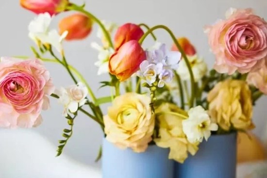 3 bước hồi sinh hoa héo có tác dụng nhanh