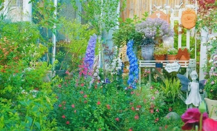 Đôi vợ chồng bỏ việc văn phòng về quê, biến vườn 200m2 thành chốn tiên cảnh” ở nhà quay vlog kiếm 170 triệu/tháng-9