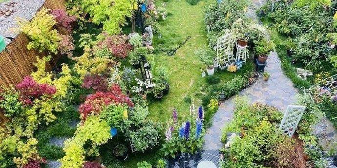 Đôi vợ chồng bỏ việc văn phòng về quê, biến vườn 200m2 thành chốn tiên cảnh” ở nhà quay vlog kiếm 170 triệu/tháng-10