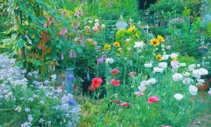 Đôi vợ chồng bỏ việc văn phòng về quê, biến vườn 200m2 thành chốn tiên cảnh” ở nhà quay vlog kiếm 170 triệu/tháng-11