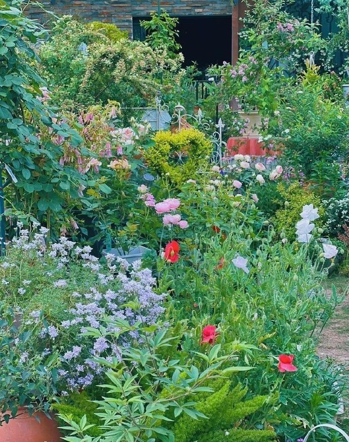 Đôi vợ chồng bỏ việc văn phòng về quê, biến vườn 200m2 thành chốn tiên cảnh” ở nhà quay vlog kiếm 170 triệu/tháng-12