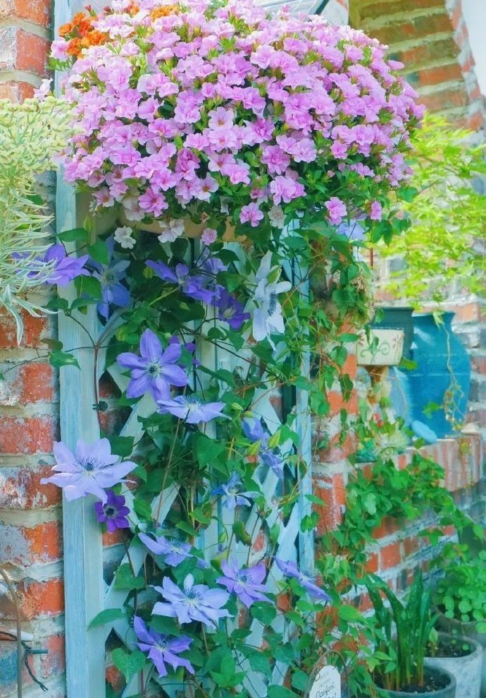 Đôi vợ chồng bỏ việc văn phòng về quê, biến vườn 200m2 thành chốn tiên cảnh” ở nhà quay vlog kiếm 170 triệu/tháng-13