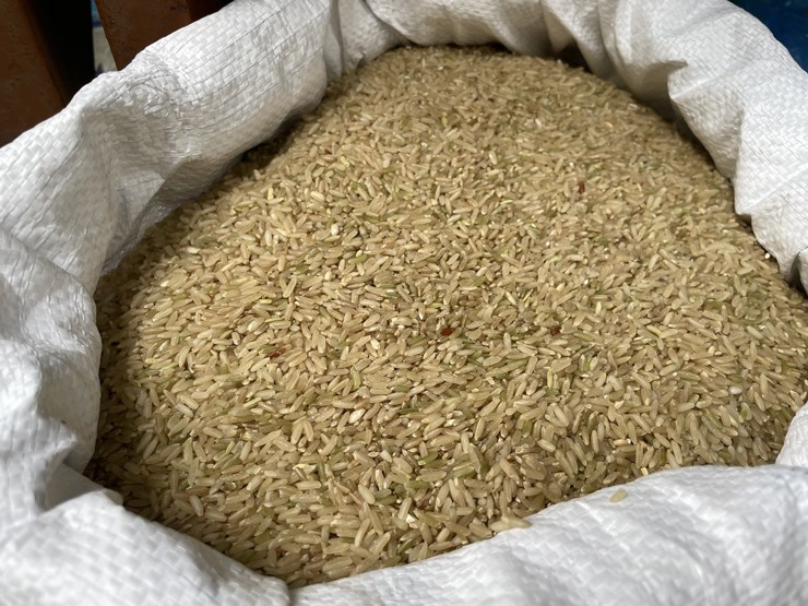 Loại gạo trước không ai ăn, nay bỗng đắt hàng, dân buôn ngày bán gần tạ-1