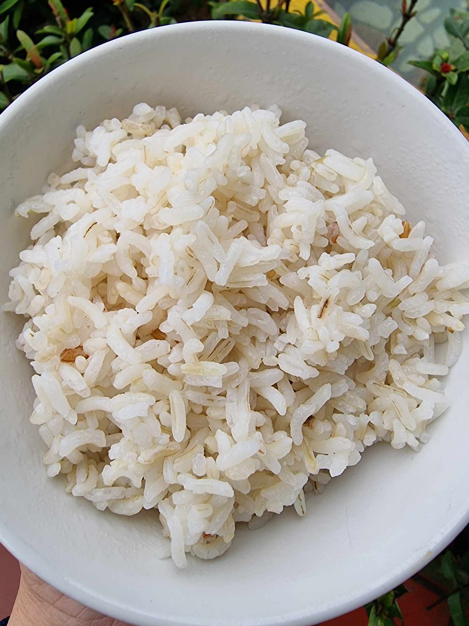 Loại gạo trước không ai ăn, nay bỗng đắt hàng, dân buôn ngày bán gần tạ-3