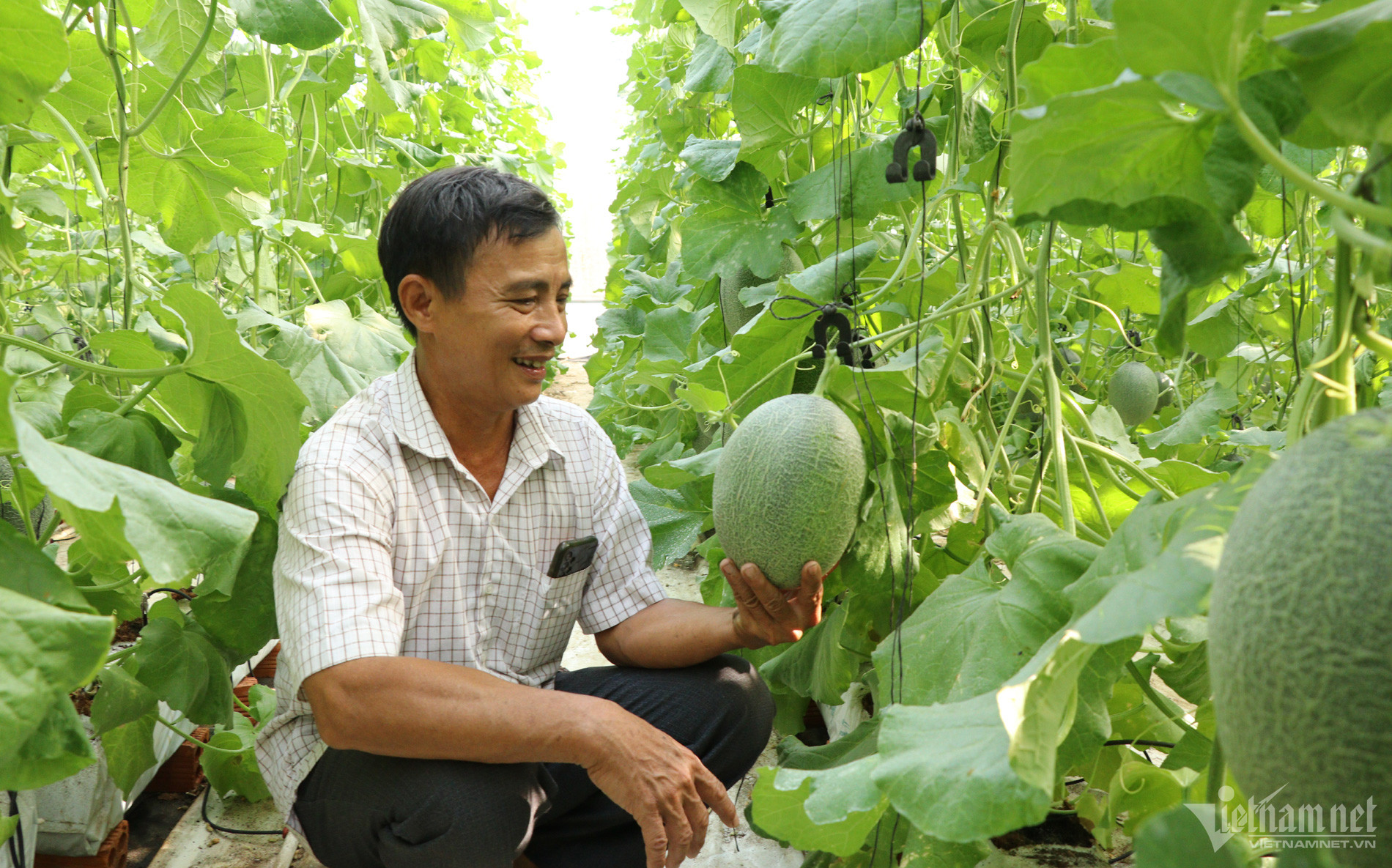 Rót trăm triệu cho con làm liều, lão nông có ngay khu vườn thu tiền tỷ-1