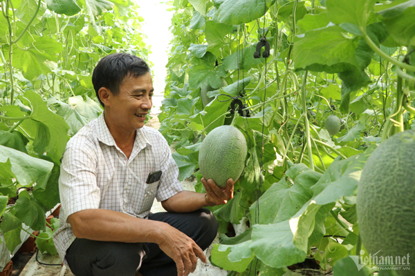 Giá xăng rục rịch tăng vượt 24.000 đồng/lít?-2