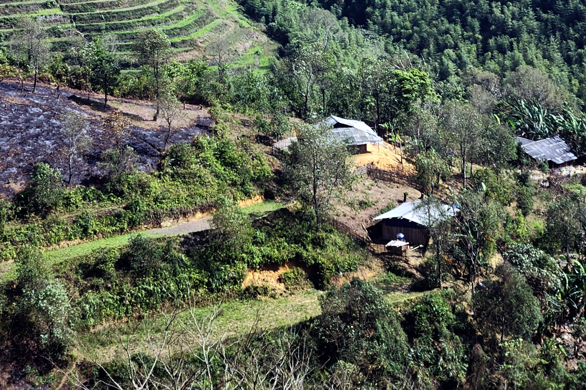 Lời kể ám ảnh của thiếu nữ bị xâm hại liên tục nơi đất khách-1