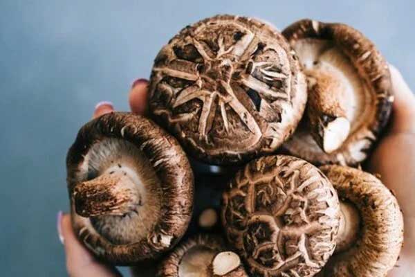 Chia tay nhau, cô gái bị bạn trai trả thù theo cách không tin nổi, vào phòng tắm mà sốc nặng-3