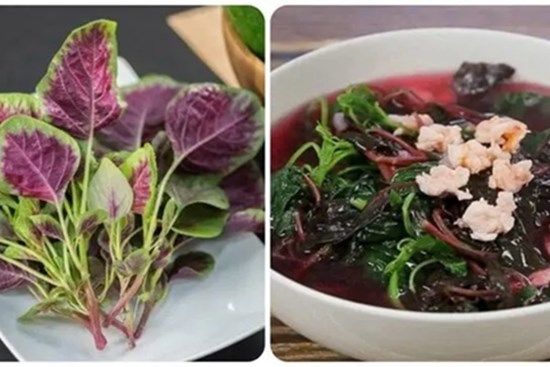Loại rau rẻ bèo nhưng tốt ngang thịt bò, được ưu ái gọi là rau trường thọ