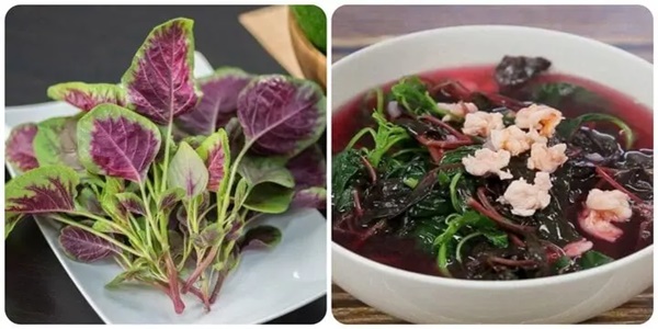 Loại rau rẻ bèo nhưng tốt ngang thịt bò, được ưu ái gọi là rau trường thọ-1