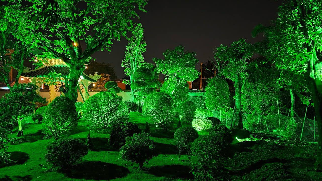 Người đẹp Tây Đô Việt Trinh sau giải nghệ: Là Phật tử nhiều năm, ăn chay, sống an yên ở nhà vườn 3000m2-7