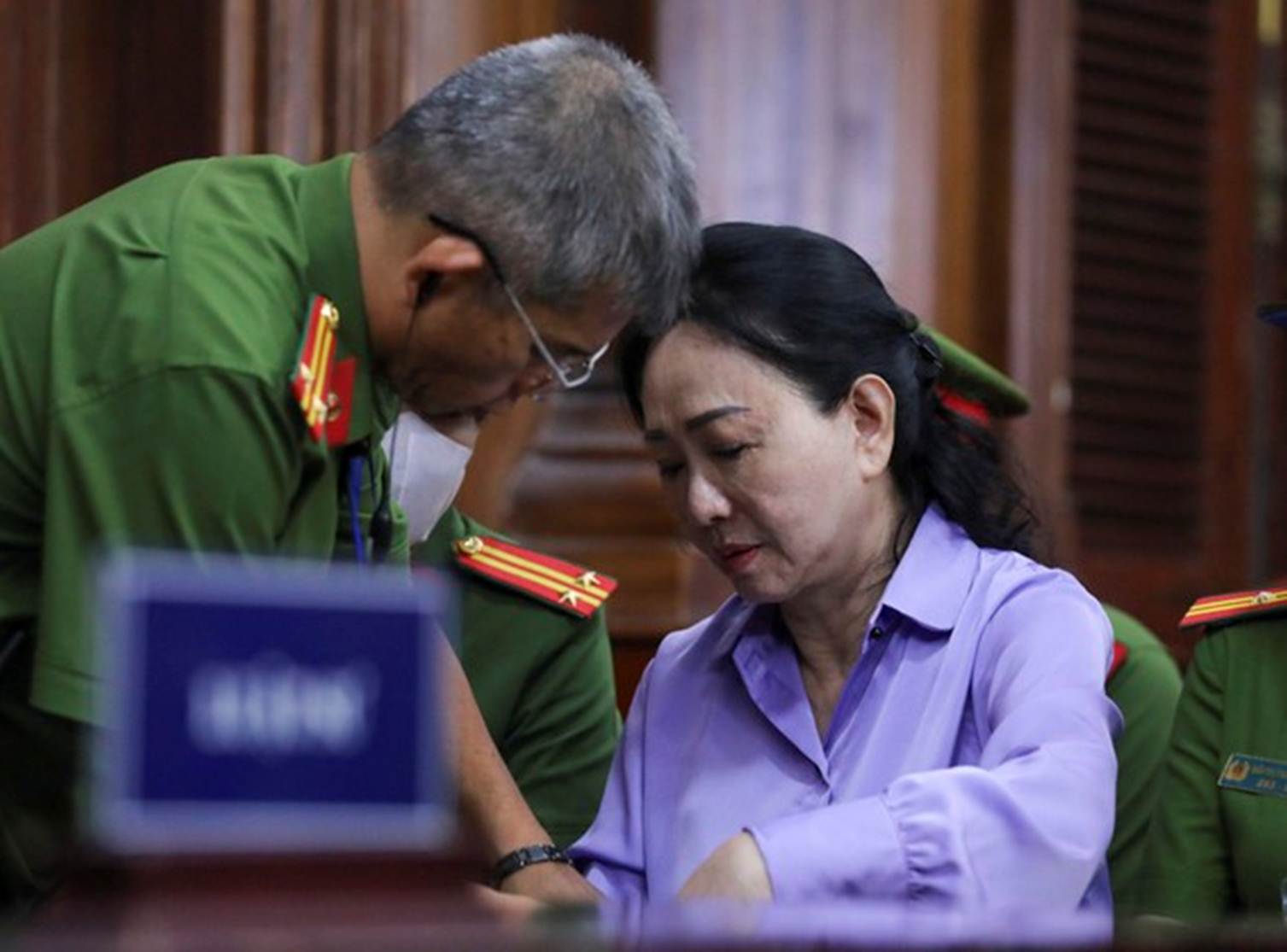 Bà Trương Mỹ Lan nêu lý do xin tại ngoại-1