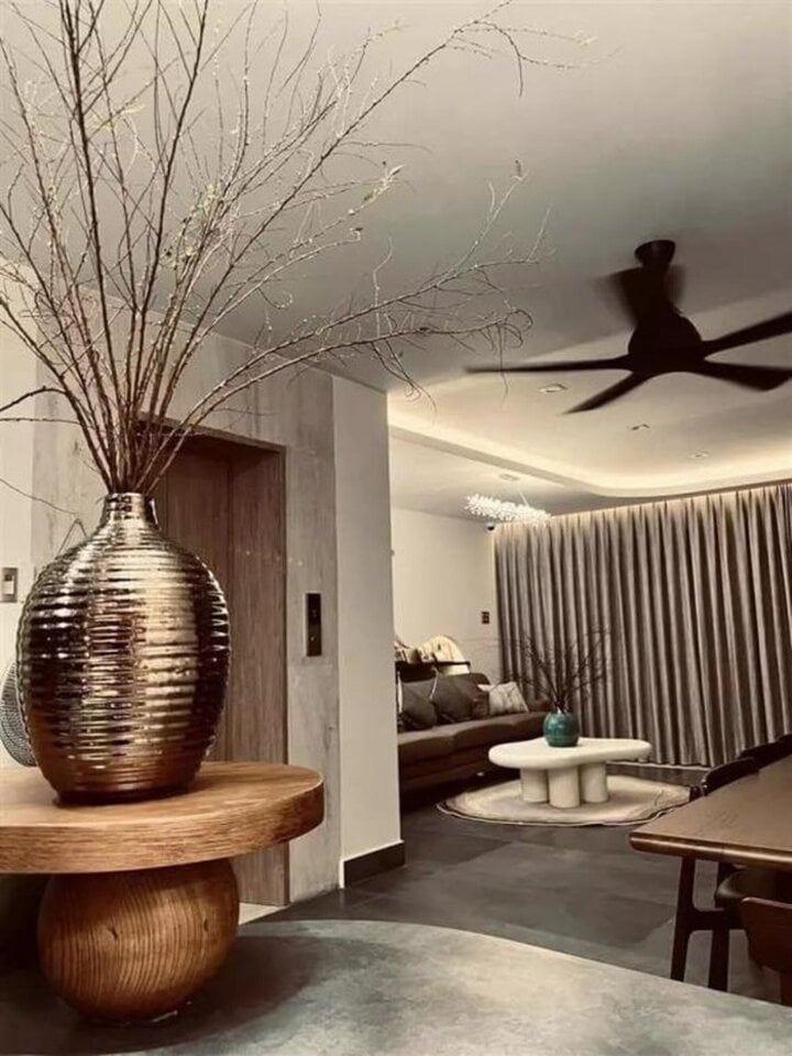 Tài sản khủng của Ốc Thanh Vân: Biệt thự miệt vườn, tậu xe hơi 4 tỷ đồng-11