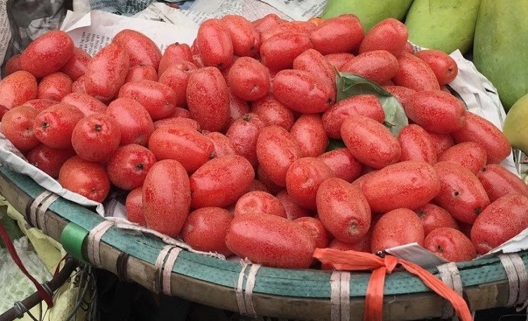 Giật mình với giá nhót chín tại Hà Nội, chị em chỉ dám mua vài lạng cho đỡ thèm”-1