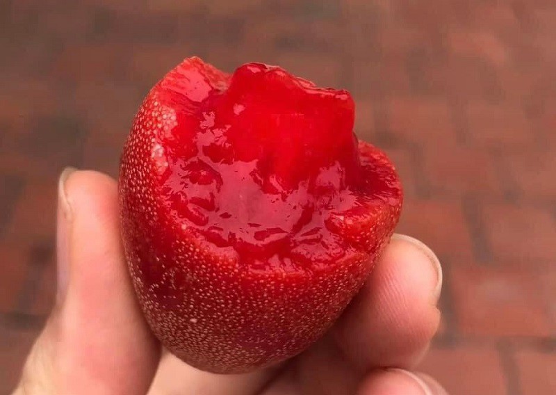 Giật mình với giá nhót chín tại Hà Nội, chị em chỉ dám mua vài lạng cho đỡ thèm”-2