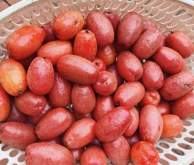 Giật mình với giá nhót chín tại Hà Nội, chị em chỉ dám mua vài lạng cho đỡ thèm”-5