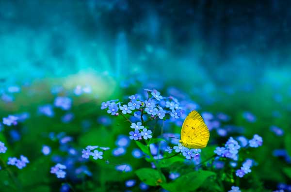 Thần Tài gọi tên: 3 con giáp gặp vận may tốt nhất, đầu tư thuận lợi, tài lộc sung túc-3