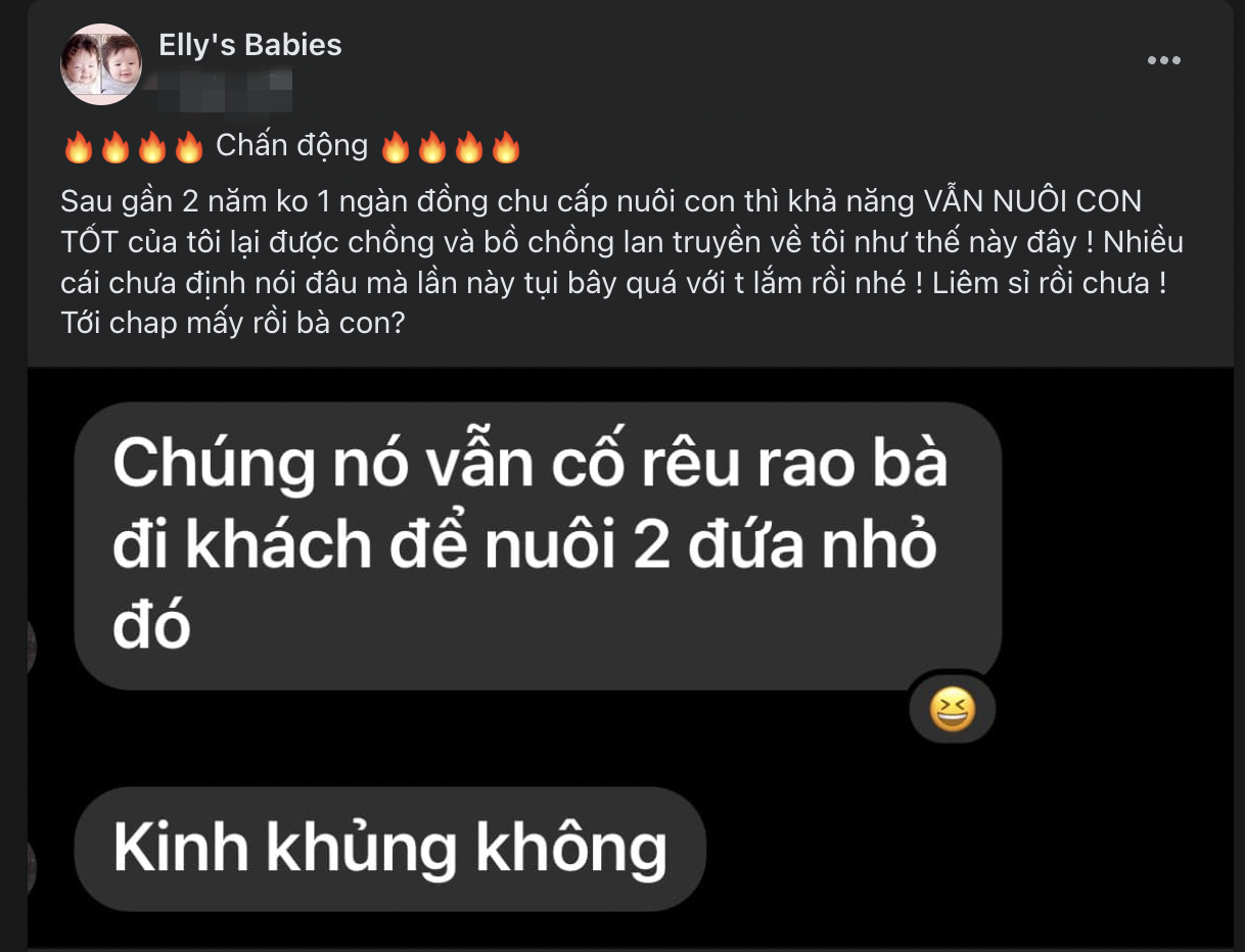 2 năm ly hôn không nhận được 1 đồng chu cấp, nay lại bị chồng cũ rêu rao đi khách kiếm tiền, Elly Trần lên tiếng phản bác-1