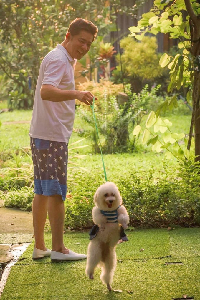 Nhà vườn thú vị của tài tử Việt đình đám một thời - Huỳnh Anh Tuấn-4