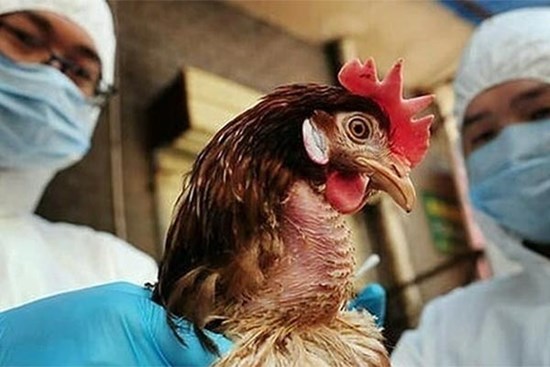 Nam sinh viên ở Nha Trang nhiễm loại bệnh dịch nguy hiểm