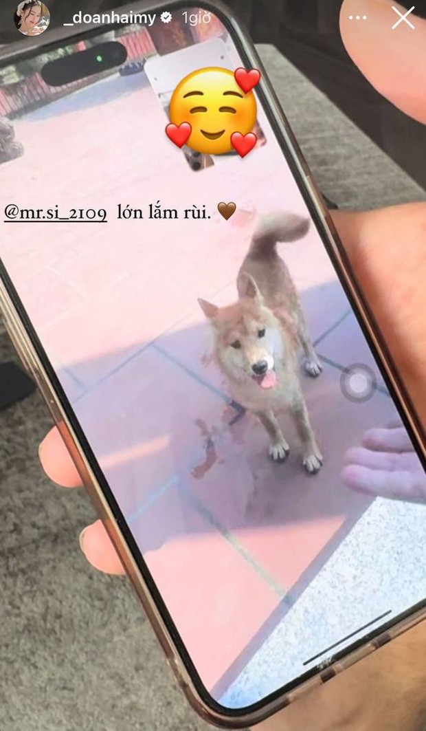 Doãn Hải My xuất hiện với chiếc mũi khác lạ, nhờ bố mẹ chồng chăm con trong thời gian mang bầu-3