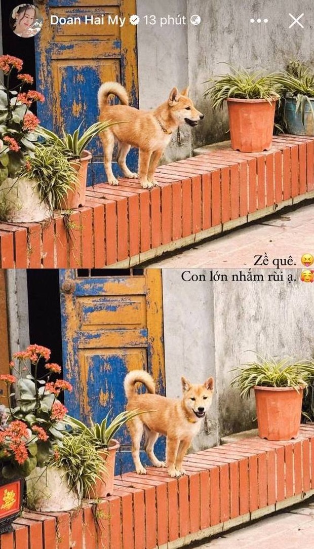 Doãn Hải My xuất hiện với chiếc mũi khác lạ, nhờ bố mẹ chồng chăm con trong thời gian mang bầu-4