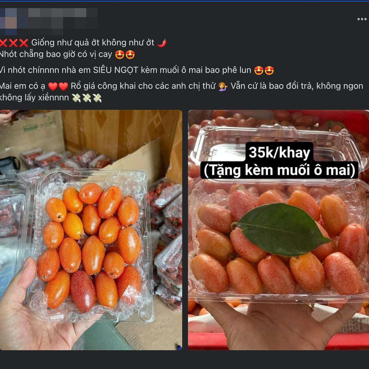 Thủ phủ nhót ở Hà Nội mất mùa, giá tăng dựng đứng-17