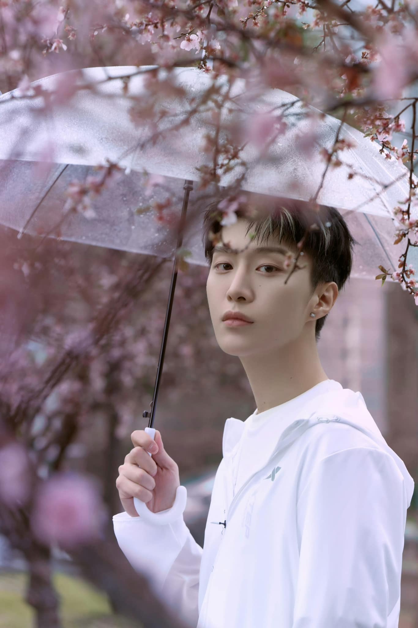 Phạm Băng Băng bị mắng-5