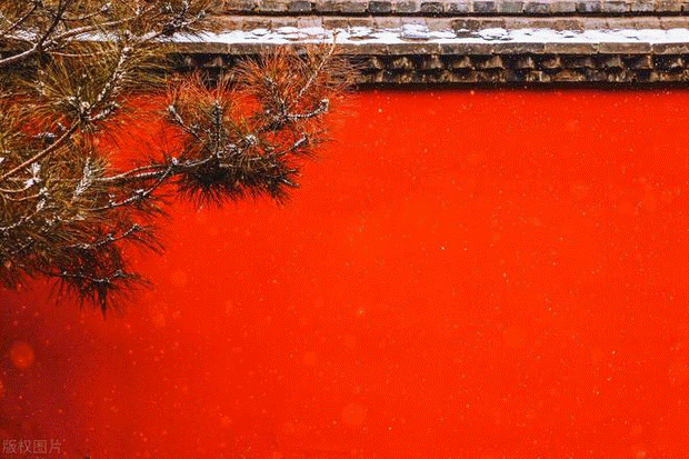 Cụ ông U70 đặt 15 bàn ăn tổ chức sinh nhật nhưng anh em không 1 ai tới, biết lý do mới ngỡ ngàng: Tất cả sang nhà em út ăn tân gia-4