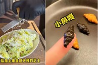 'Cơm nhà giàu' Thượng Hải gây tranh cãi với giá như trên trời: Có gì trong món salad hơn 700.000 đồng và đĩa bánh sừng bò bé như ngón tay?
