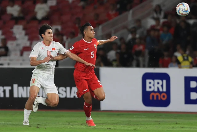 Quá tam ba bận, đồng hương thầy Park sẽ lại cho HLV Troussier xơi quả lừa ngay tại Mỹ Đình?-2