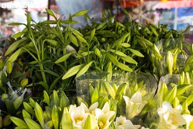 Hoa loa kèn đầu mùa xuống phố Hà Nội, giá chát vẫn hút khách mua-1