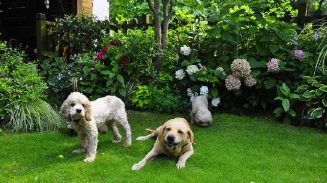 Ngôi nhà nhỏ nằm ở góc phố bình yên trong thành phố lớn khiến ai đi qua cũng phải dừng lại để ngắm nhìn-14