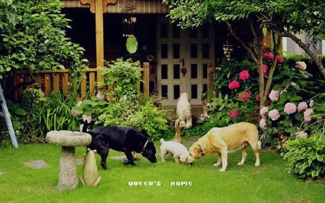 Ngôi nhà nhỏ nằm ở góc phố bình yên trong thành phố lớn khiến ai đi qua cũng phải dừng lại để ngắm nhìn-15