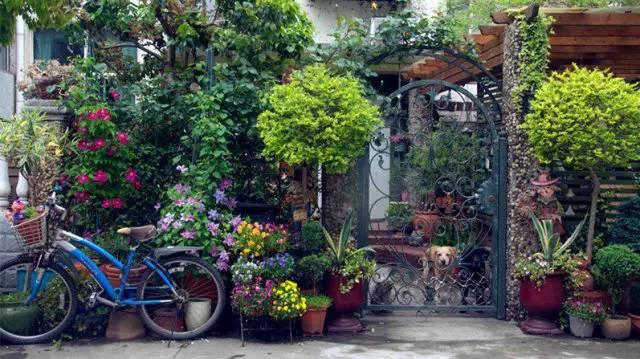 Ngôi nhà nhỏ nằm ở góc phố bình yên trong thành phố lớn khiến ai đi qua cũng phải dừng lại để ngắm nhìn-1