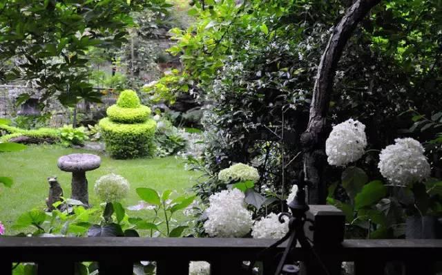 Ngôi nhà nhỏ nằm ở góc phố bình yên trong thành phố lớn khiến ai đi qua cũng phải dừng lại để ngắm nhìn-2