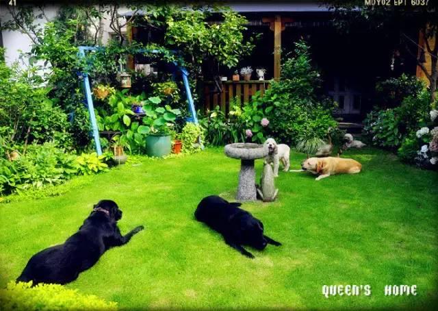 Ngôi nhà nhỏ nằm ở góc phố bình yên trong thành phố lớn khiến ai đi qua cũng phải dừng lại để ngắm nhìn-3