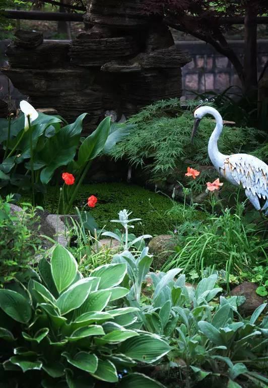 Ngôi nhà nhỏ nằm ở góc phố bình yên trong thành phố lớn khiến ai đi qua cũng phải dừng lại để ngắm nhìn-4