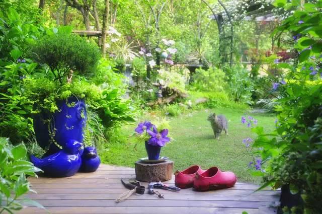 Ngôi nhà nhỏ nằm ở góc phố bình yên trong thành phố lớn khiến ai đi qua cũng phải dừng lại để ngắm nhìn-5