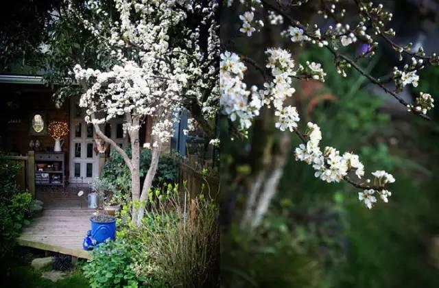 Ngôi nhà nhỏ nằm ở góc phố bình yên trong thành phố lớn khiến ai đi qua cũng phải dừng lại để ngắm nhìn-6